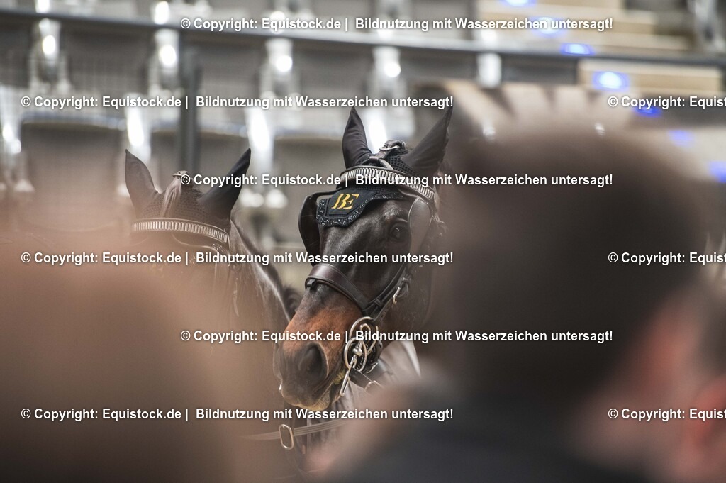 20251114_Impressionen_TOMSPIC_0017 | Foto: Thomas Hartig