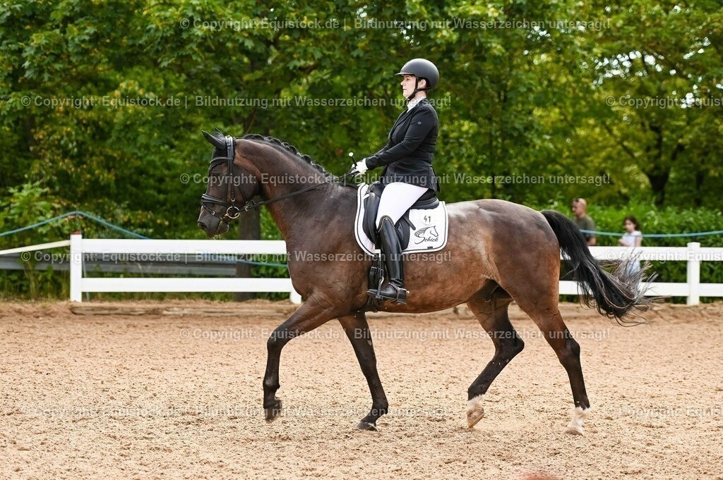 20230715_07_Dressurpferdeprfg. Kl.L_0104 | equistock
