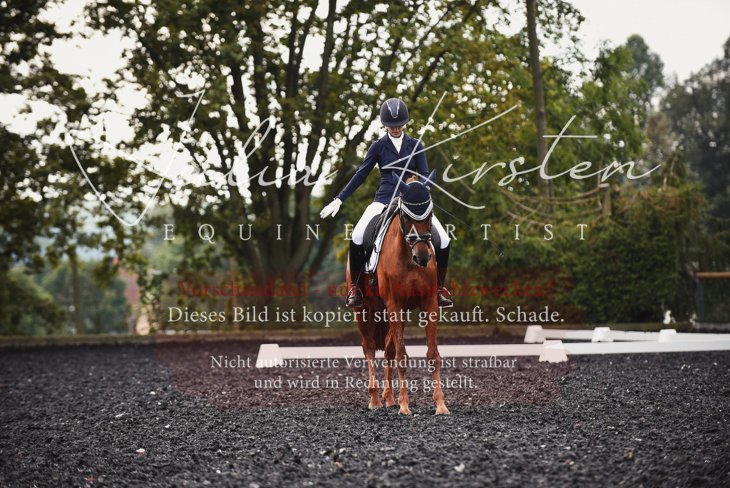 DSC_3809 | Pferde- und Turnierfotografie in Westsachsen. Pferdeportraits, Auftragszeichnungen und intuitive Kunst.