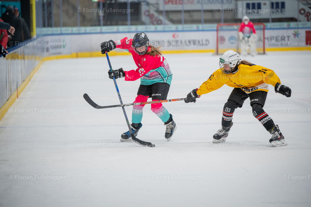 DSC_3514 | "Fussifoto.com – Ihr Ansprechpartner für hochwertige Fotografie! Entdecken Sie kreative Bilder und professionelle Dienstleistungen. Kontaktieren Sie uns für Ihre Projekte!"