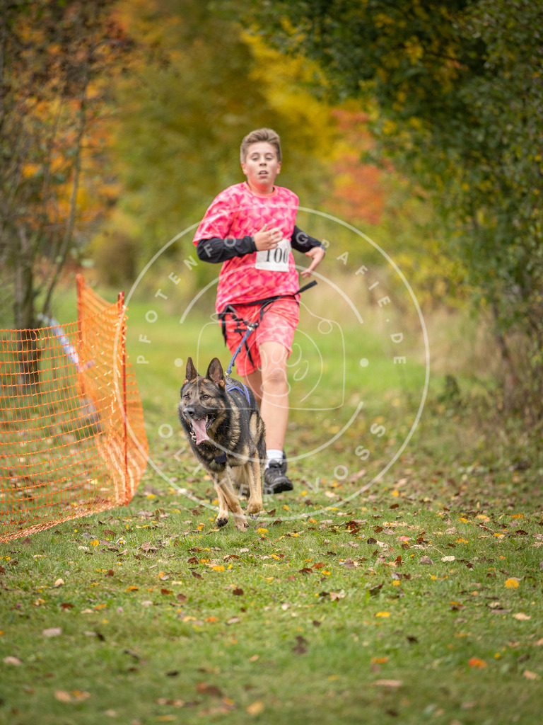 Pfotenfotografie_DV3A3452 | Hundefotografie, Tierfotograf, Pfotenfotografie, Fotoshooting Hund, Hunde Portrait, Hundesport, Hundeportraits, Heideshooting, Hunde, Sportfotograf, Hundefotograf, Turnierhundsport, THS,  - Realisiert mit Pictrs.com