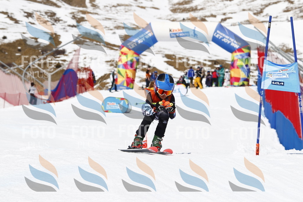 _U3G8346 | holidayphoto