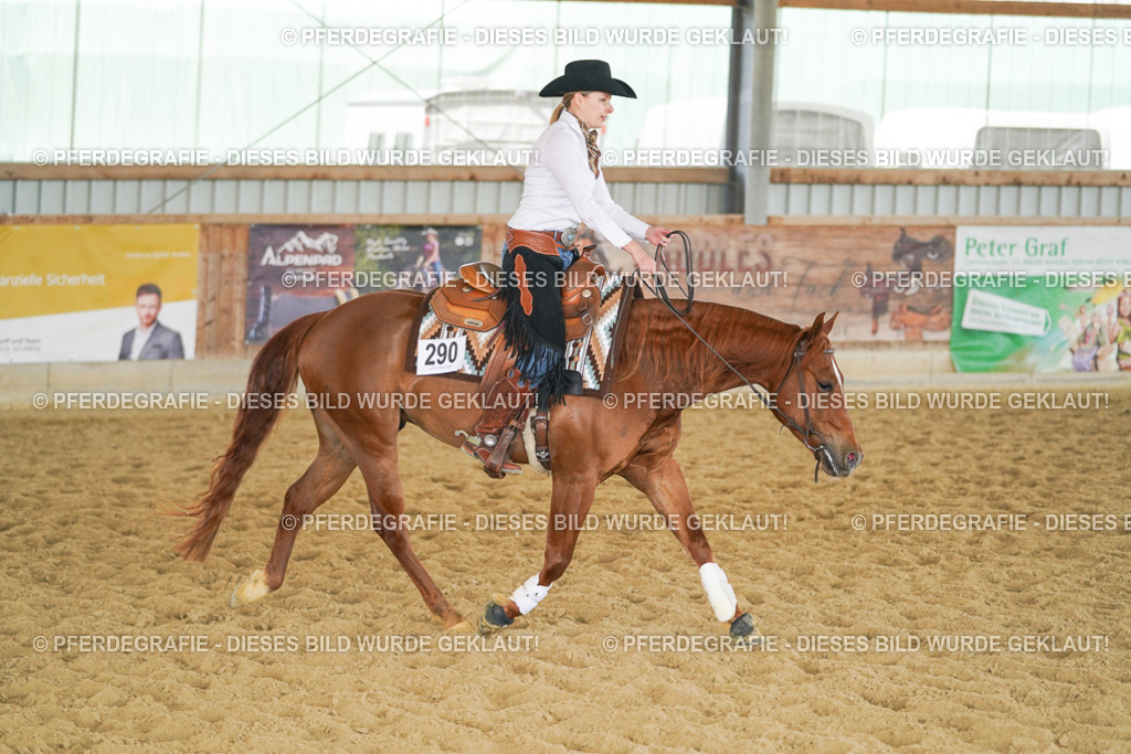 DSC06019 | Pferdegrafie