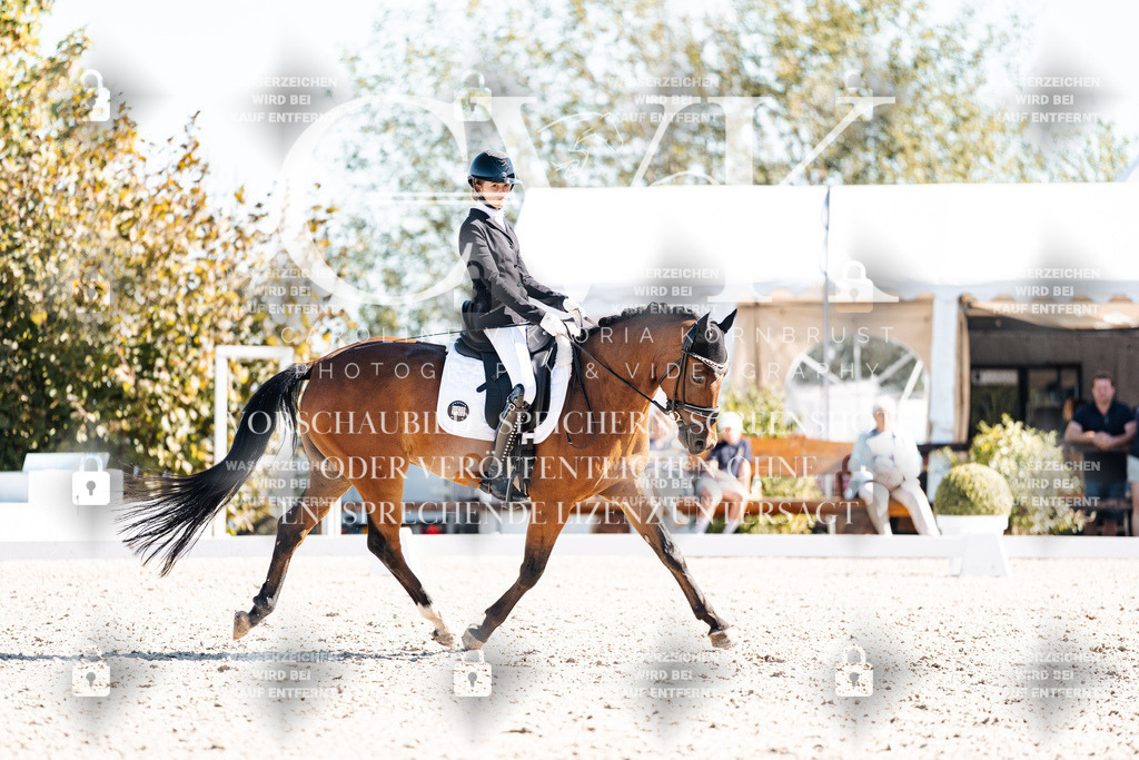 CK909225 | Turnierfotografie Pferdefotografie Trier Rheinland-Pfalz Pferdesport Reitsport Tierfotografie Sportfotografie Pferdevideo Pferdevideografie Equestrianvideography equestrianphotography  - Realisiert mit Pictrs.com