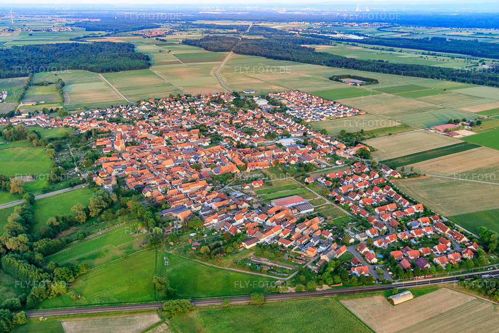 Luftbild: Ortsansicht von Nordwesten in Steinweiler im Bundesland Rheinland-Pfalz in Deutschland. Foto: IMG_100576.jpg vom 01.06.2017 durch Werner Riehm/FLY-FOTO.de