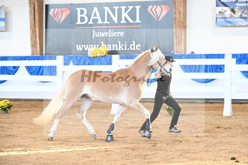 Kat-Nr. 21 nn v. Barion_Stecher_48250415 | hf-fotografie - Realisiert mit Pictrs.com