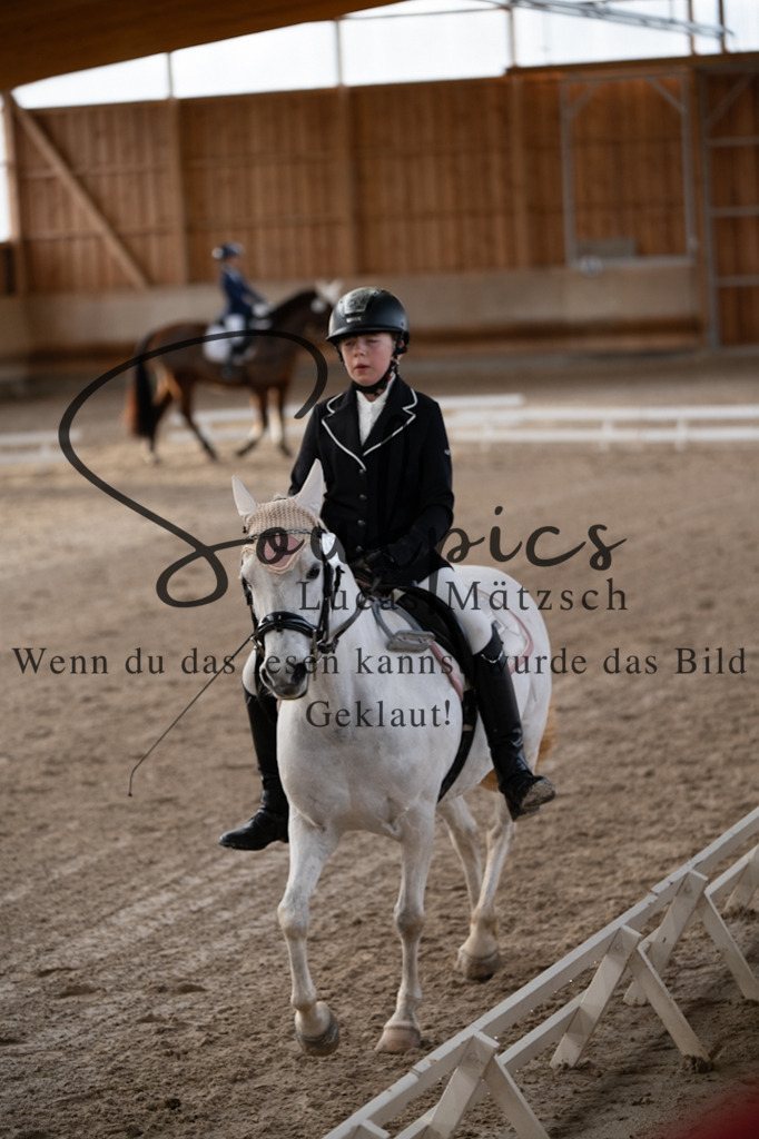 A7V09189 | Pferdefotograf