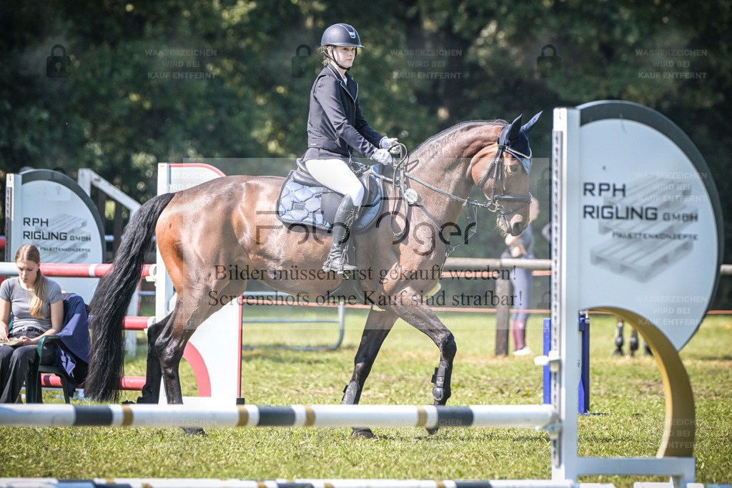 DOS_0600 | Entdecke hochwertige Reitturnierfotos von Foto Oger. Professionell, emotional und authentisch – jetzt Lieblingsmomente im Shop bestellen. - Realisiert mit Pictrs.com
