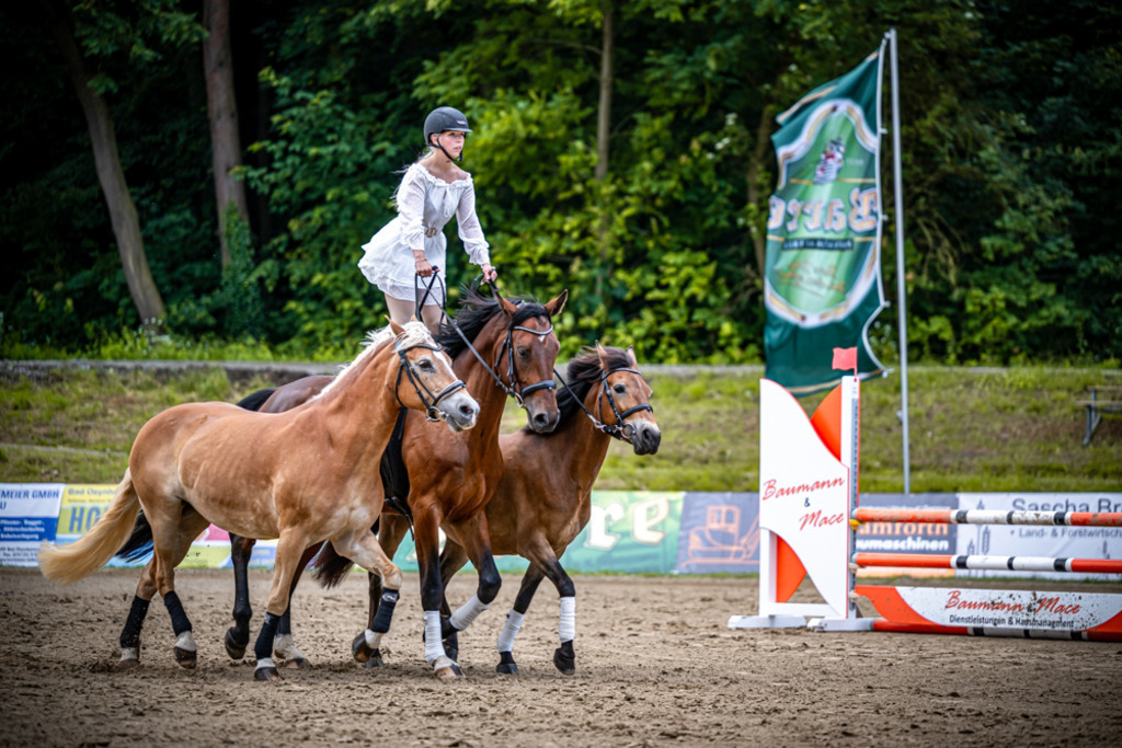 Sielturnier 2026 | Entdecke hochwertige Reitturnierfotos von Foto Oger. Professionell, emotional und authentisch – jetzt Lieblingsmomente im Shop bestellen.Deutschlandweite Turnierfotografie. - Realisiert mit Pictrs.com
