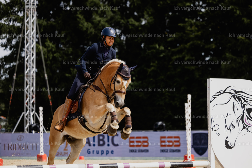 Tanesha5FHC2025-20108 | working equitationturnier fotograf videograf stoibphotography marixx film working equitation deutschland reitsport turnierfotografie eventfotografie equestrian events