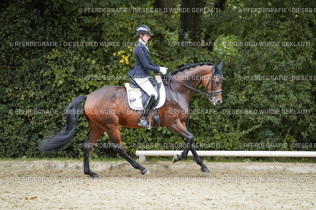 DSC02025 | Pferdegrafie