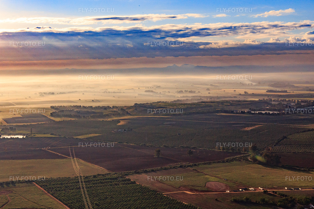 Vue aérienne: Oliveraies enveloppées de brume matinale à Alcalá de Guadaíra dans le département Séville, Espagne. Photo: IMG_145716.jpg prise le 22/04/2025 par Werner Riehm/FLY-FOTO.eu – Résolution de l'original: 5111 x 3408 px