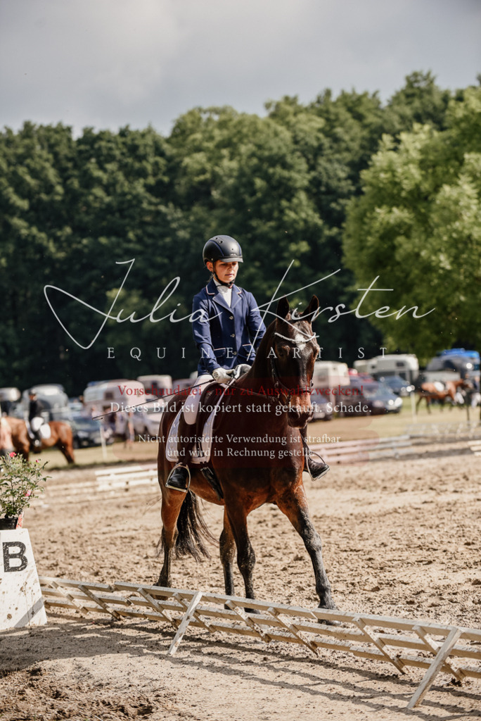 DSC_9179 | Pferde- und Turnierfotografie in Westsachsen. Pferdeportraits, Auftragszeichnungen und intuitive Kunst.