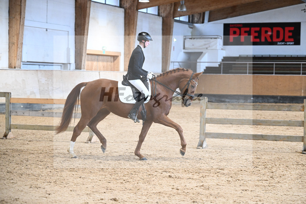 Kat-Nr. 10 Weissenas Valentina v. Va Bene_Eder_50250383 | hf-fotografie - Realisiert mit Pictrs.com