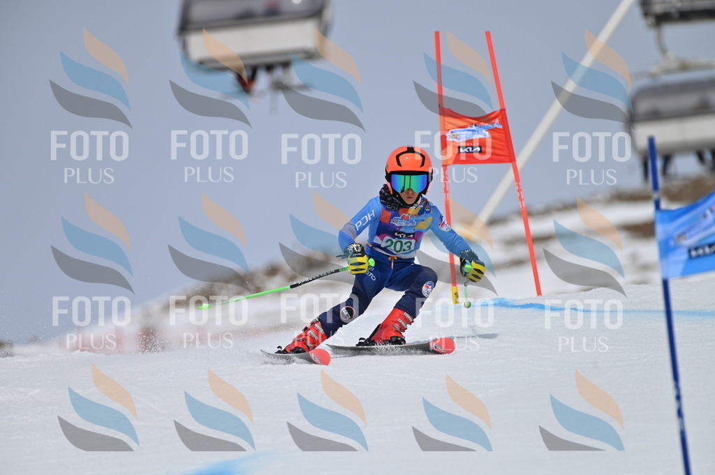 BGV_3911 | holidayphoto