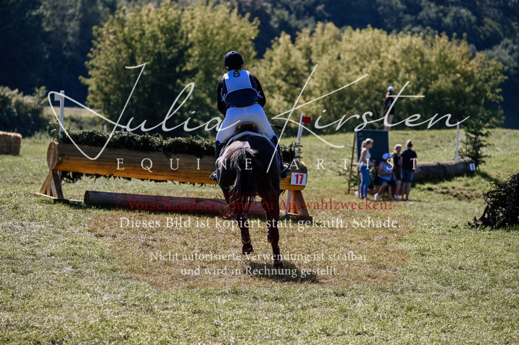 DSC_1641 | Pferde- und Turnierfotografie in Westsachsen. Pferdeportraits, Auftragszeichnungen und intuitive Kunst.