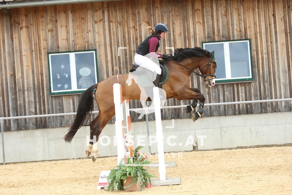 DL2Q1711 | Willkommen bei Brunnmayr - Design & Fotografie – Ihrem Spezialisten für Reitturniere und Pferdeveranstaltungen in Oberösterreich, Salzburg und Bayern! Seit über 17 Jahren sind wir leidenschaftlich dabei.