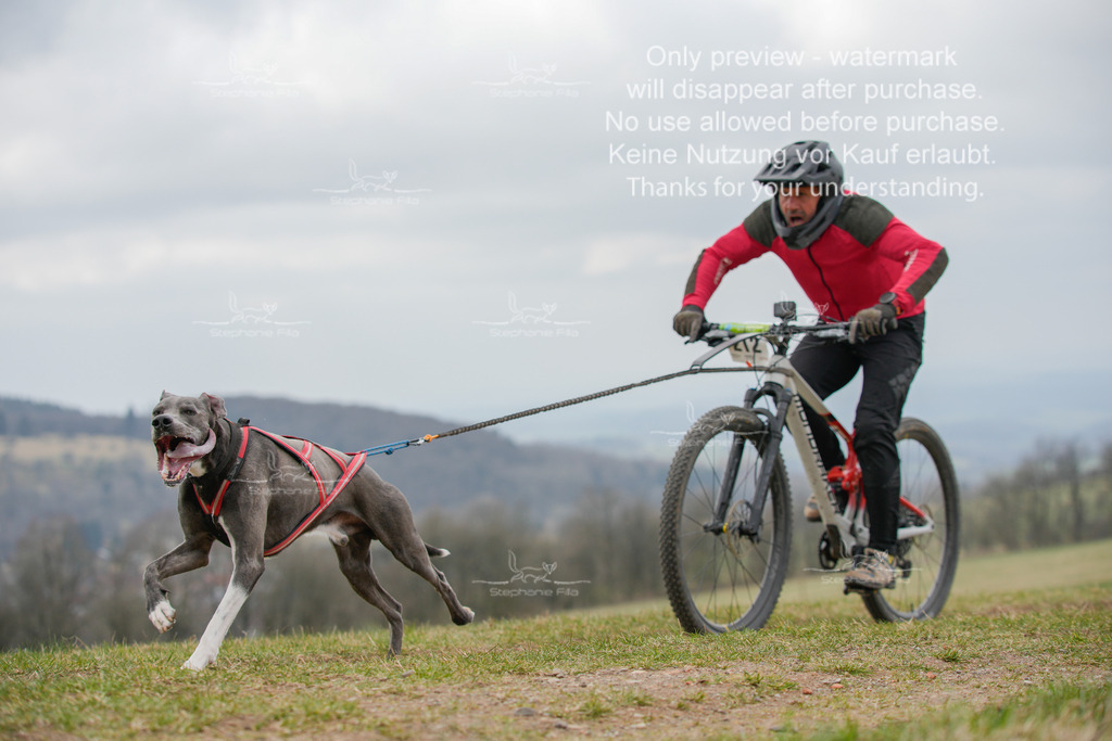 BikeSA-80 | stephaniefillaphotographie - Realisiert mit Pictrs.com