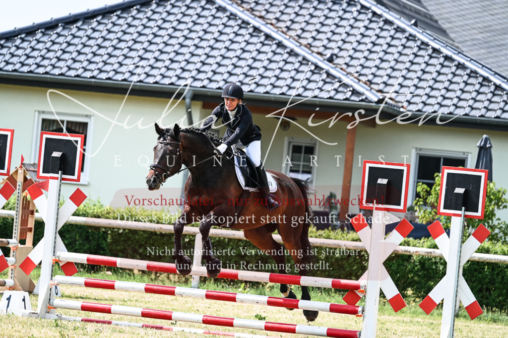 DSC_8877 | Pferde- und Turnierfotografie in Westsachsen. Pferdeportraits, Auftragszeichnungen und intuitive Kunst.