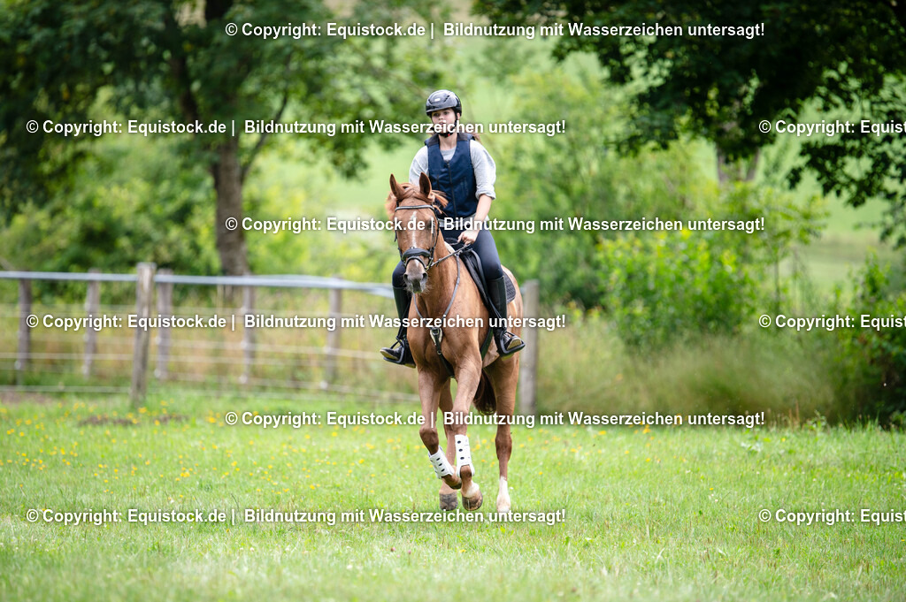 20250725_Vielseitigkeitslehrgang-Marbach_0318 | Foto: Thomas Hartig