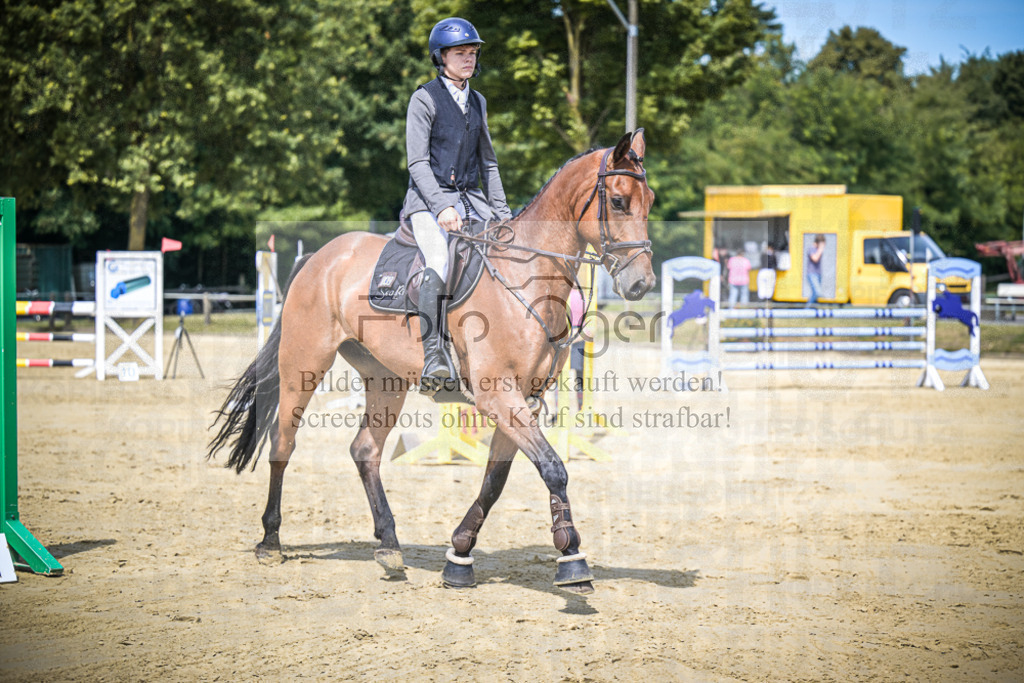 DOS_7971 | Entdecke hochwertige Reitturnierfotos von Foto Oger. Professionell, emotional und authentisch – jetzt Lieblingsmomente im Shop bestellen.Deutschlandweite Turnierfotografie. - Realisiert mit Pictrs.com