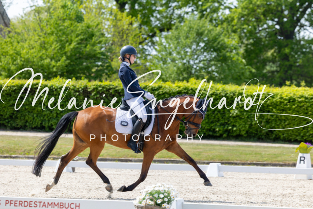 7I8A0352 | melanie-engelhardt-photography - Realisiert mit Pictrs.com