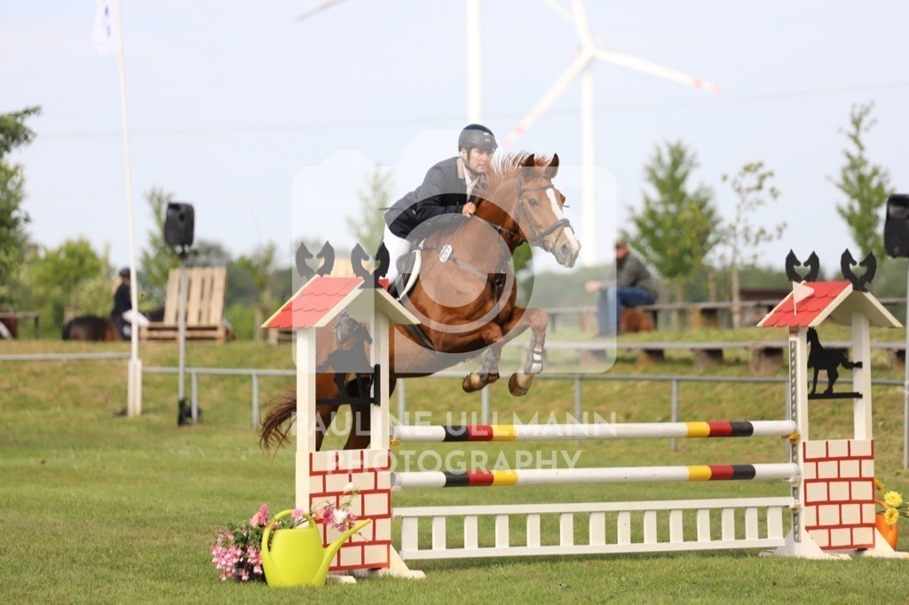 IMG_6950 | Pauline Ullmann Photography - Realisiert mit Pictrs.com