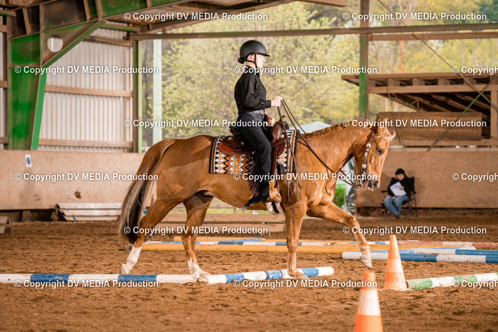 BA300333 | dv-media-shop - Realisiert mit Pictrs.com