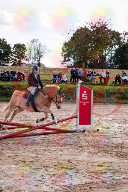2026_10_03_Siefer-Hof_145246_Z81_31795256 | Professionelle Reitsport-, Turnier- und Eventfotografie von Robert Broda. Galerien mit ausgewählten und bearbeiteten Bildern direkt online ansehen und bestellen.