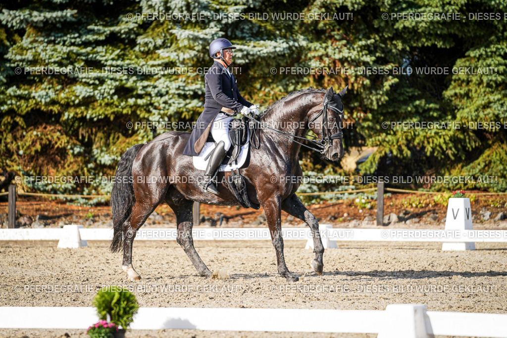 DSC00580 | Pferdegrafie