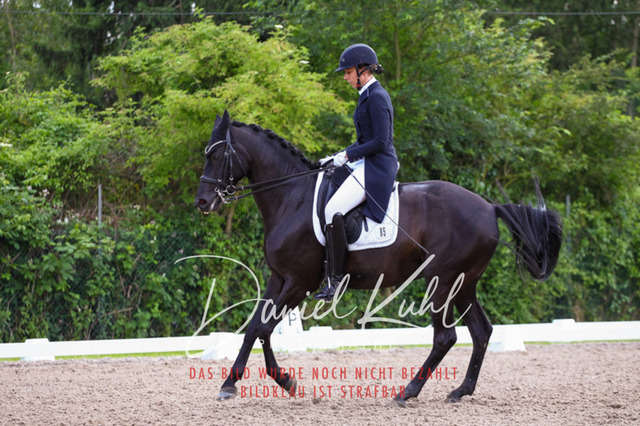 DKP41685 | Deine Turnierfotos vom Reitturnier online kaufen: Dressur, Springen & Siegerehrung. Professionelle Pferdefotografie aus dem Rheinland – als Download & Print.Alternative: Turnierfotograf für den Pferdesport: Finde deine Fotos von Dressur- und Springturnier