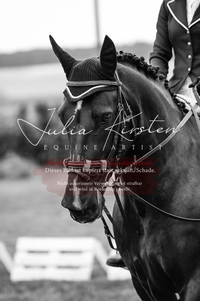DSC_4954 | Pferde- und Turnierfotografie in Westsachsen. Pferdeportraits, Auftragszeichnungen und intuitive Kunst.