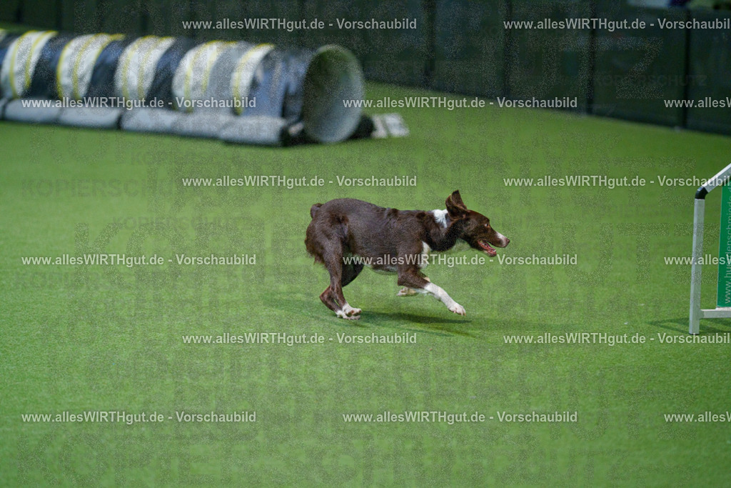 @allesWIRTHgut_Tierfotografie - www.allesWIRTHgut.de - 2604250837-7R507163 | Professionelle Tierfotografie in Mönchengladbach von Daniel Wirth (allesWIRTHgut). Liebevolle & natürliche Bilder von Hunden & Katzen für unvergessliche Erinnerungen.