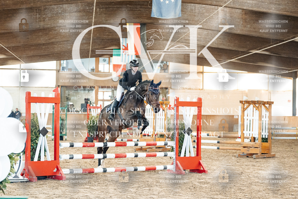 CK903815 | Turnierfotografie Pferdefotografie Trier Rheinland-Pfalz Pferdesport Reitsport Tierfotografie Sportfotografie Pferdevideo Pferdevideografie Equestrianvideography equestrianphotography  - Realized with Pictrs.com