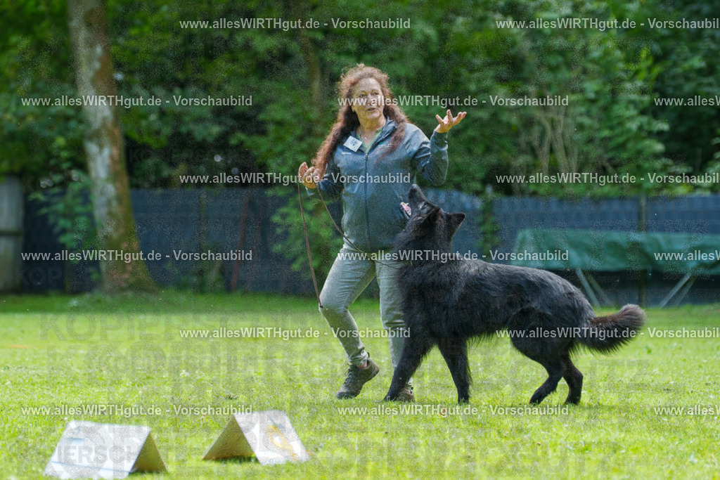 @allesWIRTHgut_Tierfotografie - www.allesWIRTHgut.de - 7R505731 | Professionelle Tierfotografie in Mönchengladbach von Daniel Wirth (allesWIRTHgut). Liebevolle & natürliche Bilder von Hunden & Katzen für unvergessliche Erinnerungen.