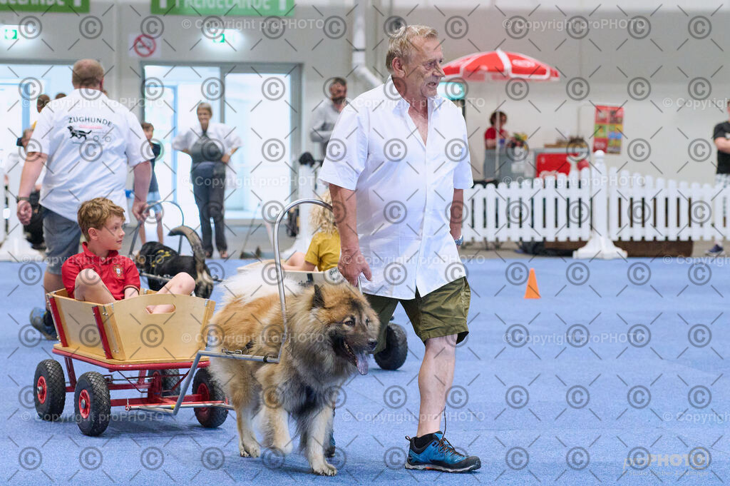 202406_ÖKV-IHA-Tulln24_DSC_4660 | proPHOTO - Realisiert mit Pictrs.com