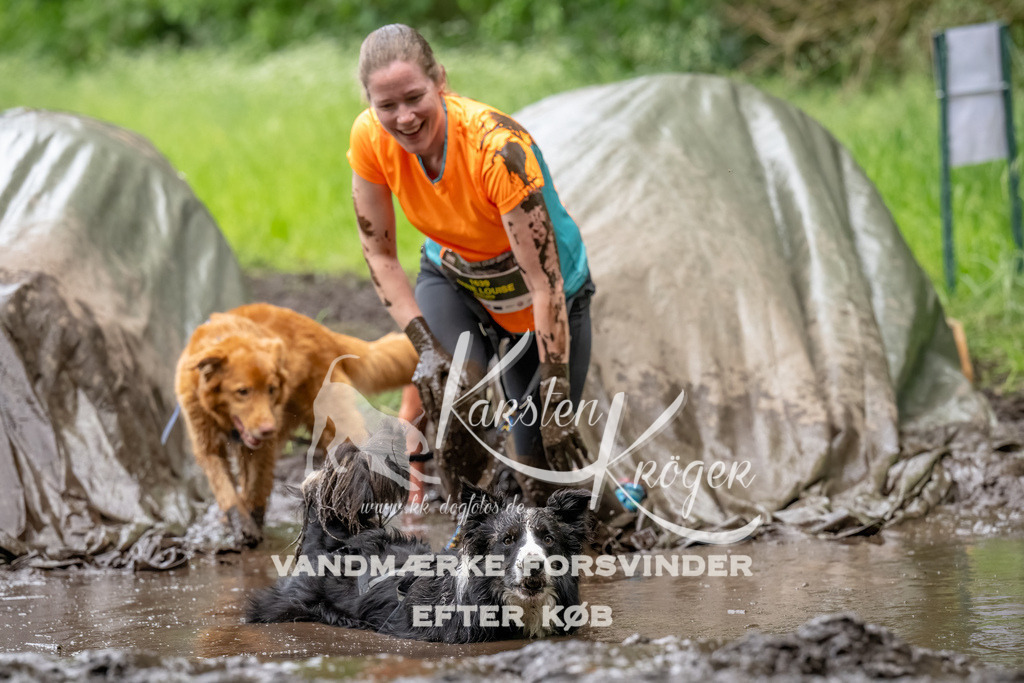 1546_ZZ90283-Bearbeitet | kk-dogfotos