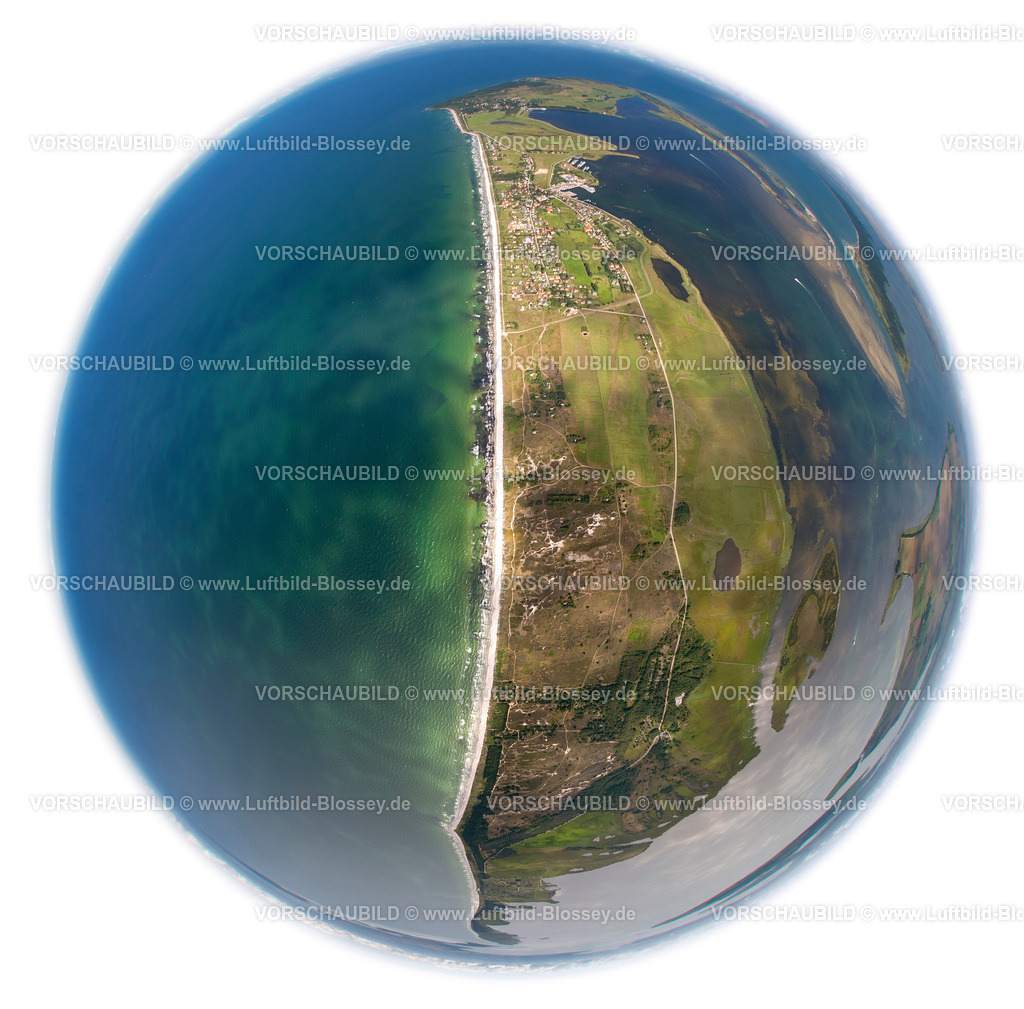 Hiddensee12081905B | Vitte, Naturschutzgebiet Dünenheide, Heidelandschaft,  Insel Hiddensee, Ostseeinsel, Mecklenburg-Vorpommern, Deutschland, Europa