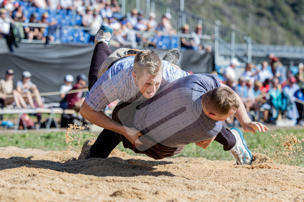 TESSINER2025_05_Gang_1153 | Die Schwinger des Schwyzer Kantonalen Schwingerverbandes: Fotos, die Dynamik und Leidenschaft festhalten, sowie emotionale Momente aus dem traditionellen Schwingsport zeigen. - Realisiert mit Pictrs.com