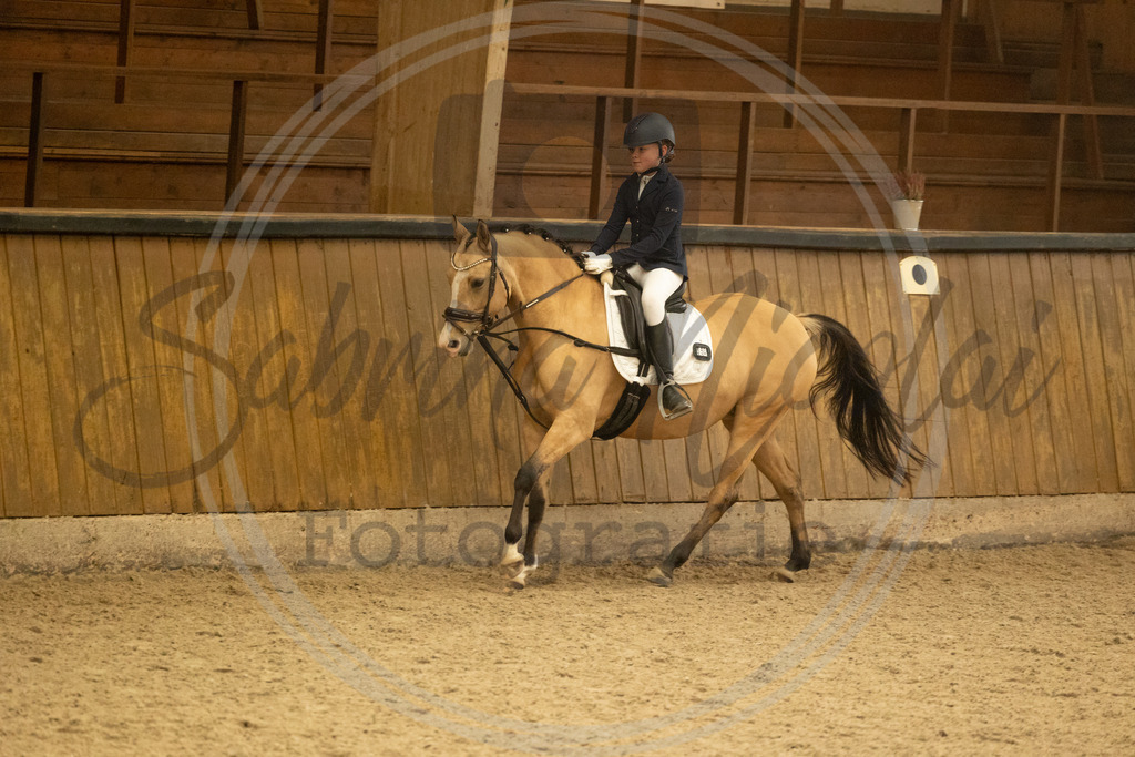 994A4336 | sabrinanicolaifotografie - Realisiert mit Pictrs.com