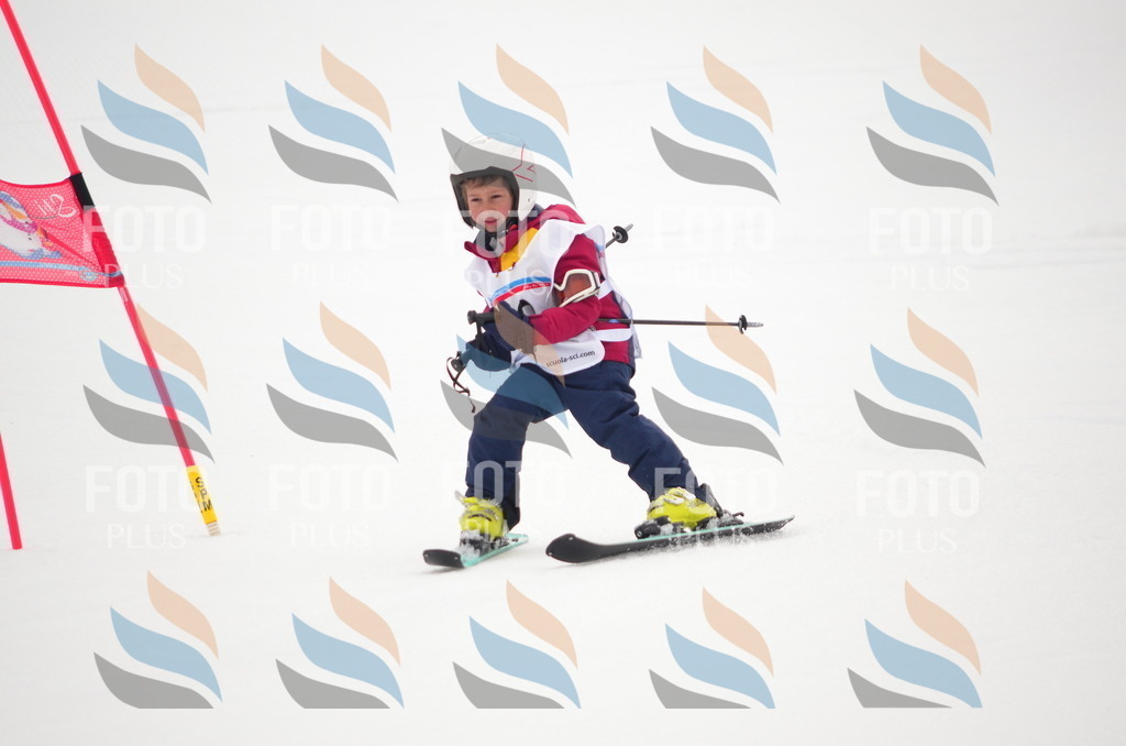 B9472 | holidayphoto