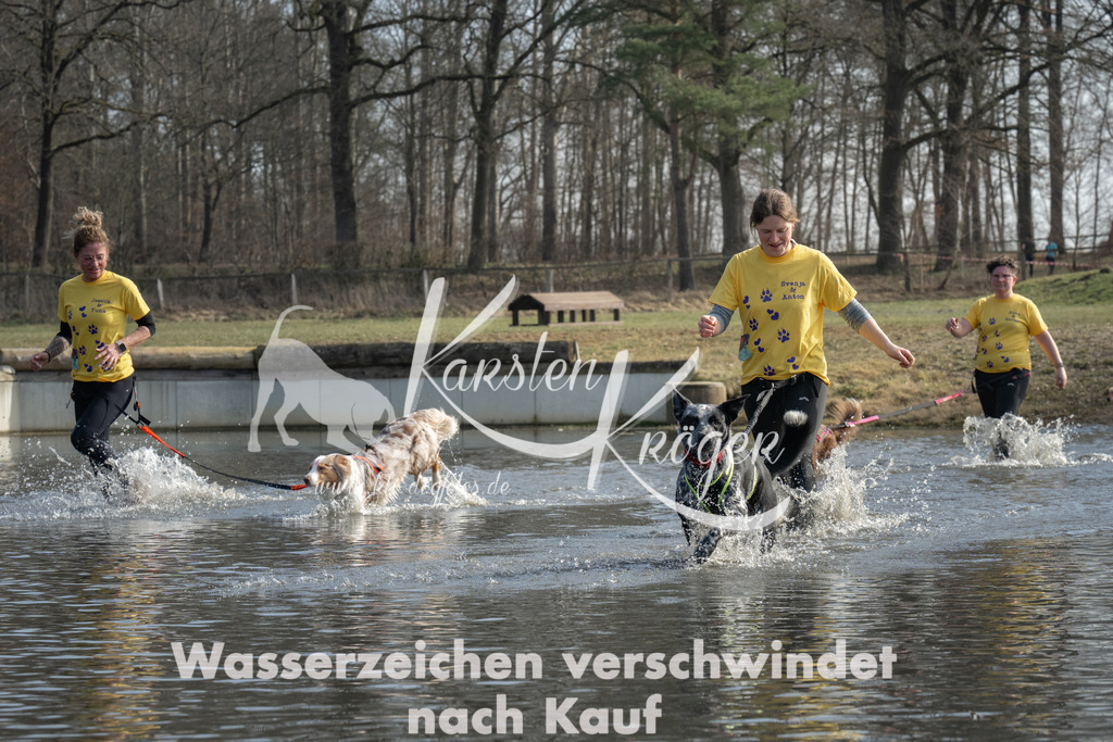 1234_ZZ90664 | kk-dogfotos