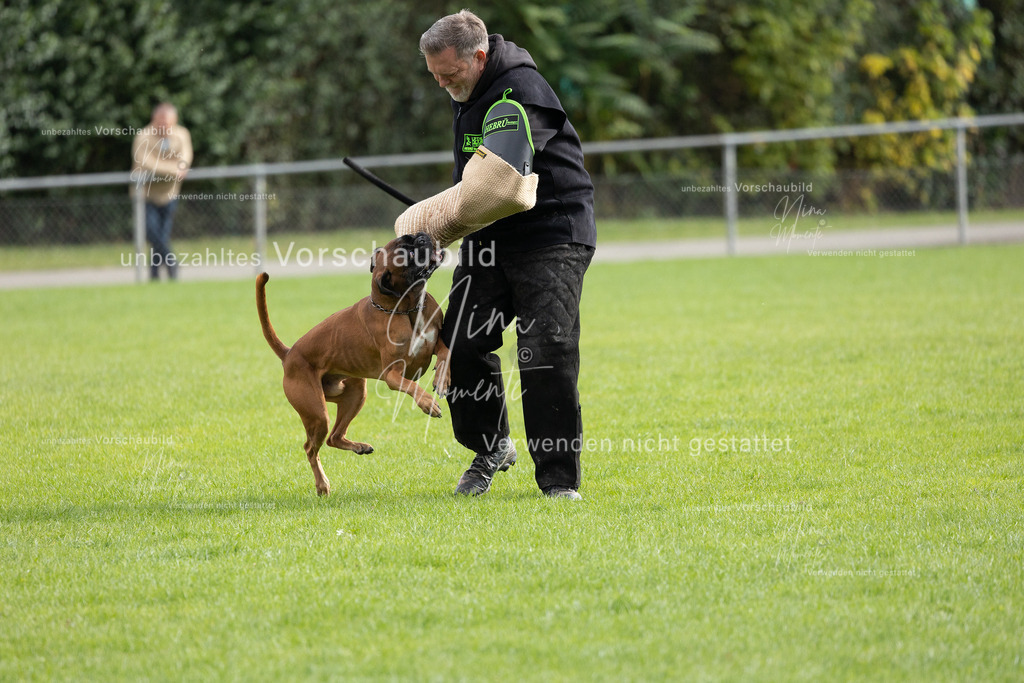 _16A7071 | Einzigartige Fotos von Hunden & Menschen –Actionfotos, Portraits, Vereinsaufnahmen & Paarshootings – authentisch, lebendig & mit Herz.