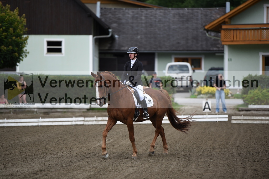 DSC_3649 | equestrian-live-com