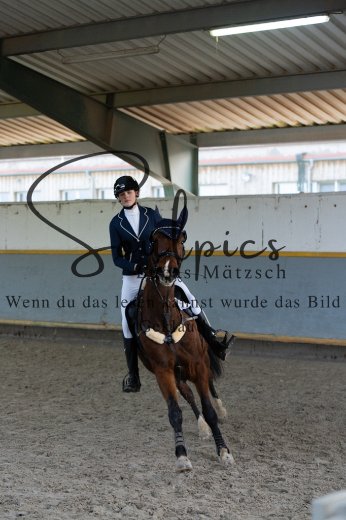 A7V02668 | Pferdefotograf