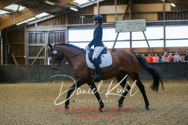 IMG_0788 | Turniersportfotografie; Pferdefotografie; Dressurfotografie