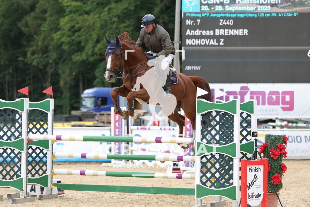0P6A7825 | Willkommen bei Brunnmayr - Design & Fotografie – Ihrem Spezialisten für Reitturniere und Pferdeveranstaltungen in Oberösterreich, Salzburg und Bayern! Seit über 17 Jahren sind wir leidenschaftlich dabei.