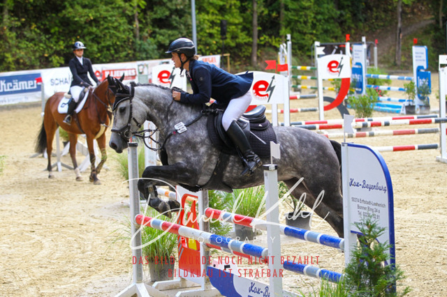 DKP40444 | Turniersportfotografie; Pferdefotografie; Dressurfotografie