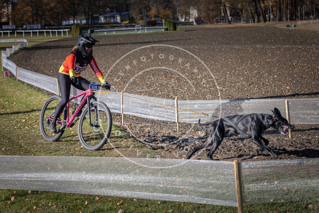 CaniXpix_DV3A6684 | Hundefotografie, Tierfotograf, Pfotenfotografie, Fotoshooting Hund, Hunde Portrait, Hundesport, Hundeportraits, Heideshooting, Hunde, Sportfotograf, Hundefotograf, Turnierhundsport, THS,  - Realisiert mit Pictrs.com