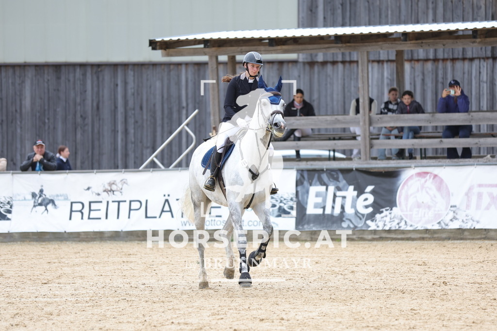 0P6A2941 | Willkommen bei Brunnmayr - Design & Fotografie – Ihrem Spezialisten für Reitturniere und Pferdeveranstaltungen in Oberösterreich, Salzburg und Bayern! Seit über 17 Jahren sind wir leidenschaftlich dabei.
